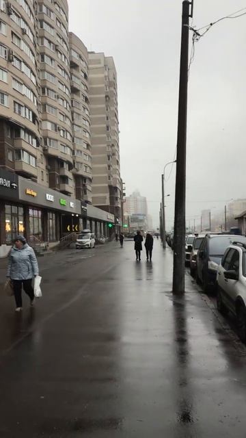 Санкт-Петербург. 05.11.2025. Проспект Энгельса у станции метро «Проспект Просвещения». Эпизод 3