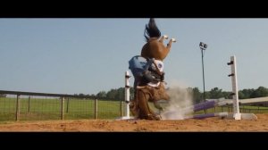 Моя лошадь (2025)