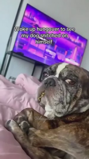 весёлая подборка