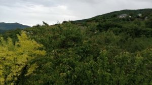 Красивый пейзаж Дагестана, лето в горах, птицы поют красиво