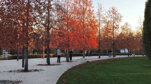 🍁🍂ОСЕНЬ, НОЯБРЬ, +18, ПАРК ГАЛИЦКОГО, КРАСНОДАР
