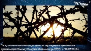 Тропа (вариация 9)