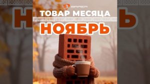 ТОВАР МЕСЯЦА - облицовочный кирпич BRAER