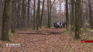 В орловском Медведевском лесу прошел бег-маскарад