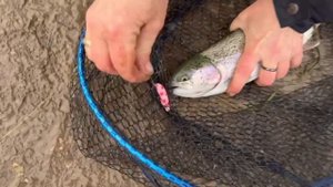 Онлайн с водоема