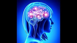 Молекулярные механизмы, лежащие в основе внушаемости