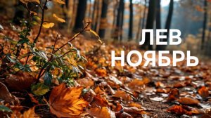 ЛЕВ. ТАРО ПРОГНОЗ НА НОЯБРЬ