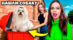 МЫ НАШЛИ БРОШЕННУЮ СОБАКУ! Что нам с ней делать