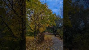 Моя Россия/ Фото подборка/Осень.