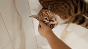 Vlog /Мои Сборы В Школу 🩷 мое школьное утро 💙