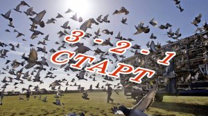 регистрация старта