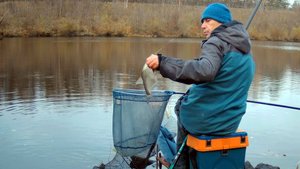 Осенний поплавок. Канал им. Москвы, октябрь 2025