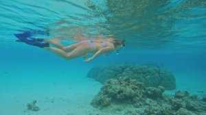 Снорклинг мальдивы  отель "RIU Palace , RIU Atoll"  03.2025.