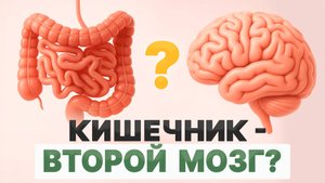 После этого видео вы забудете о проблемах с кишечником раз и навсегда