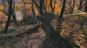 Порой природа может излечить все на свете своей красотой