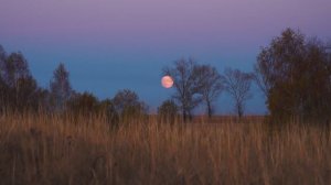 Колыбельная (Осень в моих местах)