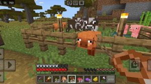 Я ВПЕРВЫЕ ПРИРУЧИЛА БРОНЕНОСЦЕВ В МАЙНКРАФТ