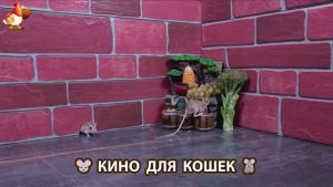 Видео для кошек про крысок развлекать питомцев 🐭🐀😂 (364)