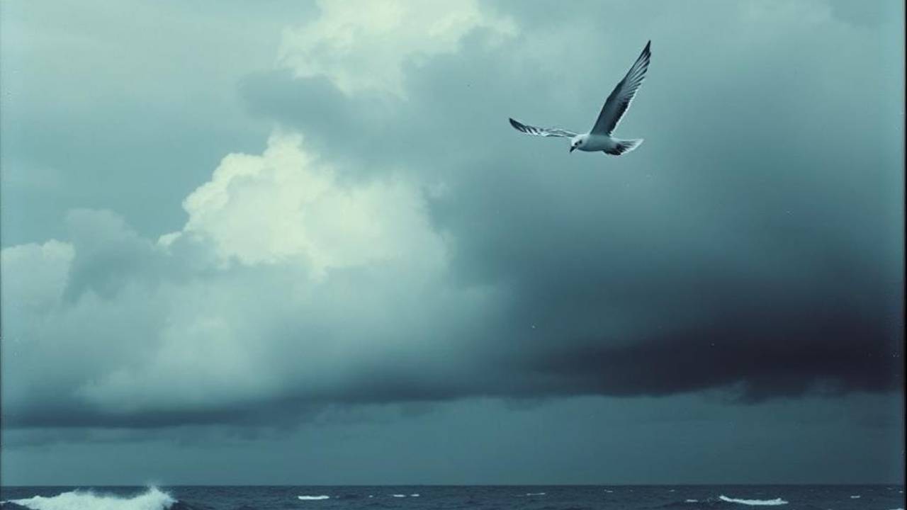 О суррогатном алкоголе _ ЛенТВ24 02.11.2025