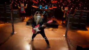 ZC Top Cats - Where Are You Know