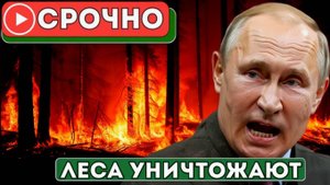ШОК! Россия Массово Рубит Леса Для Европы  Люди В ШОКЕ  Протесты и Гнев Народа!