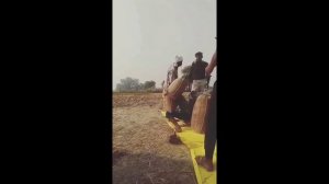 смотреть самая смешное видео бесплатно