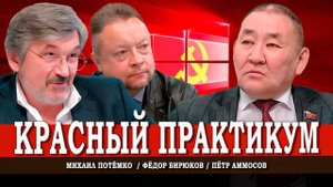 Партийная дисциплина, или Как коммунистам очищаться от оппортунистов | Аммосов | Потёмко | Бирюков