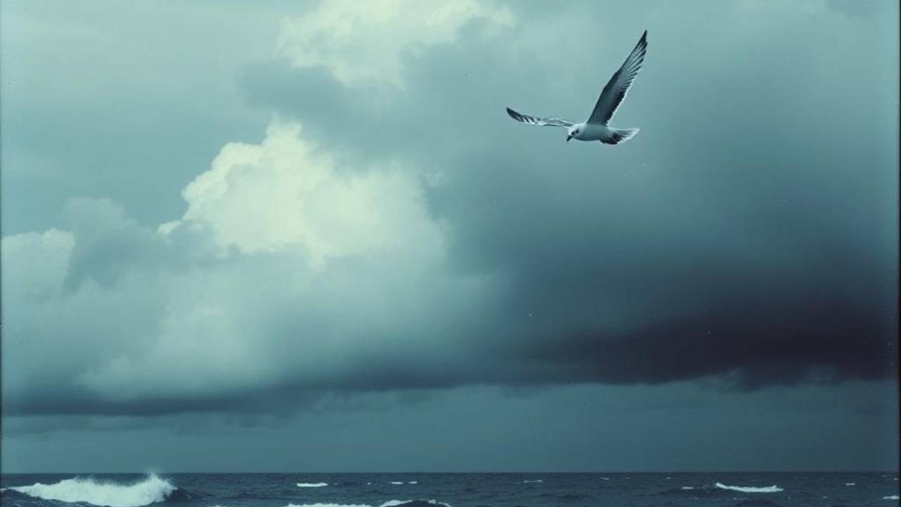 1. Ooh La La         2. Je suis le scandale  - связка из двух песен в стиле французского шансона