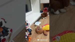 Игра в кальмра