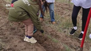 Вырастить и восполнить лес