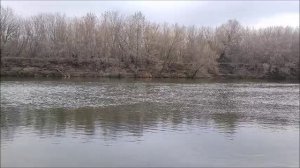 Ловлю на незацепляйку, река Воронеж,мкр. Малышево, 04.11.2025 года