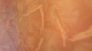 Продается 2-этажный Дом -196.9 м² , 5 спален