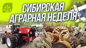 Агропром / Будущее сибирского села | СТРИМ ОТС LIVE — 5 ноября