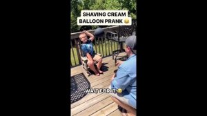 скачать смешные видео