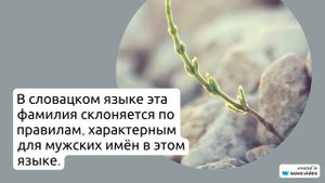 Фамилия Анджей: всё, что нужно знать о происхождении, значении и склонении