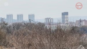 ☀️ Немного тепла припасла эта неделя для уссурийцев