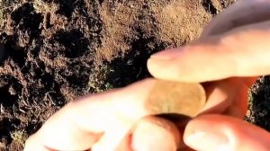 КОП МОНЕТ С МЕТАЛЛОИСКАТЕЛЕМ 2025