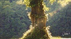 Истории из жизни слушать аудио рассказы бесплатно - История одного развода...