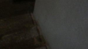 Теорема ЖКХ_Подъезд_2025.11.04_14-30