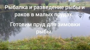 Рыбалка и разведение рыбы и раков в малых прудах. ( готовим водоём для зимовки рыбы)