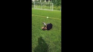 Смешные клипы: заряд позитива и отличного настроения на весь день! 😂