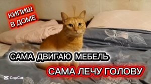 Опять перестановка мебели! Учусь выбирать себя, а не того парня!