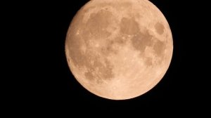 Бобёр или охотник: как полнолуние отражает наши внутренние выборы