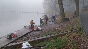 Туманное утро