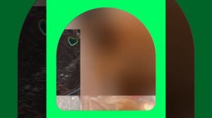 1000039248.mp4 (Собака смотрит на монтаж электропроводки (распайку р/коробок) в доме А-фрейм