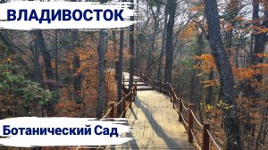 Владивосток ноябрь 2025