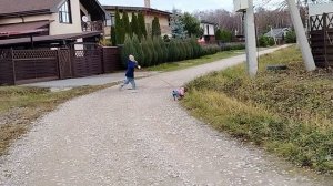 Бегаю с моей собакой