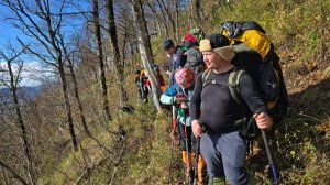 Собаки, природа и брод: Наше туристское приключение в Краснодаре