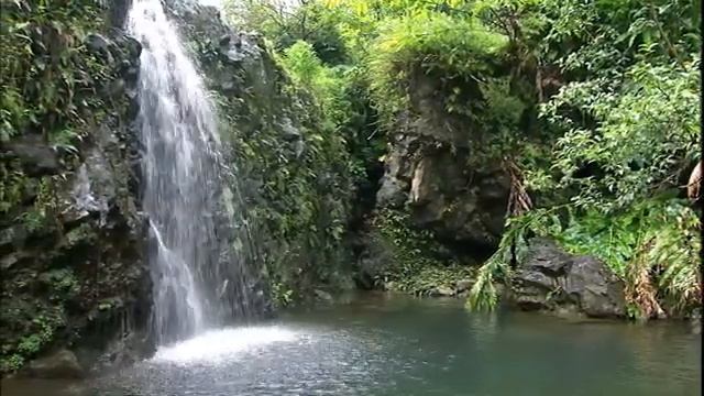 Ксения Лапицкая - К Тебе взываю я(-) смотреть онлайн