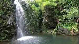 Ксения Лапицкая - К Тебе взываю я(-)